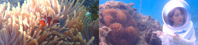 �}�����E�H�[�N